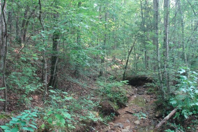 Sugartree Falls Tract 2 photo 2