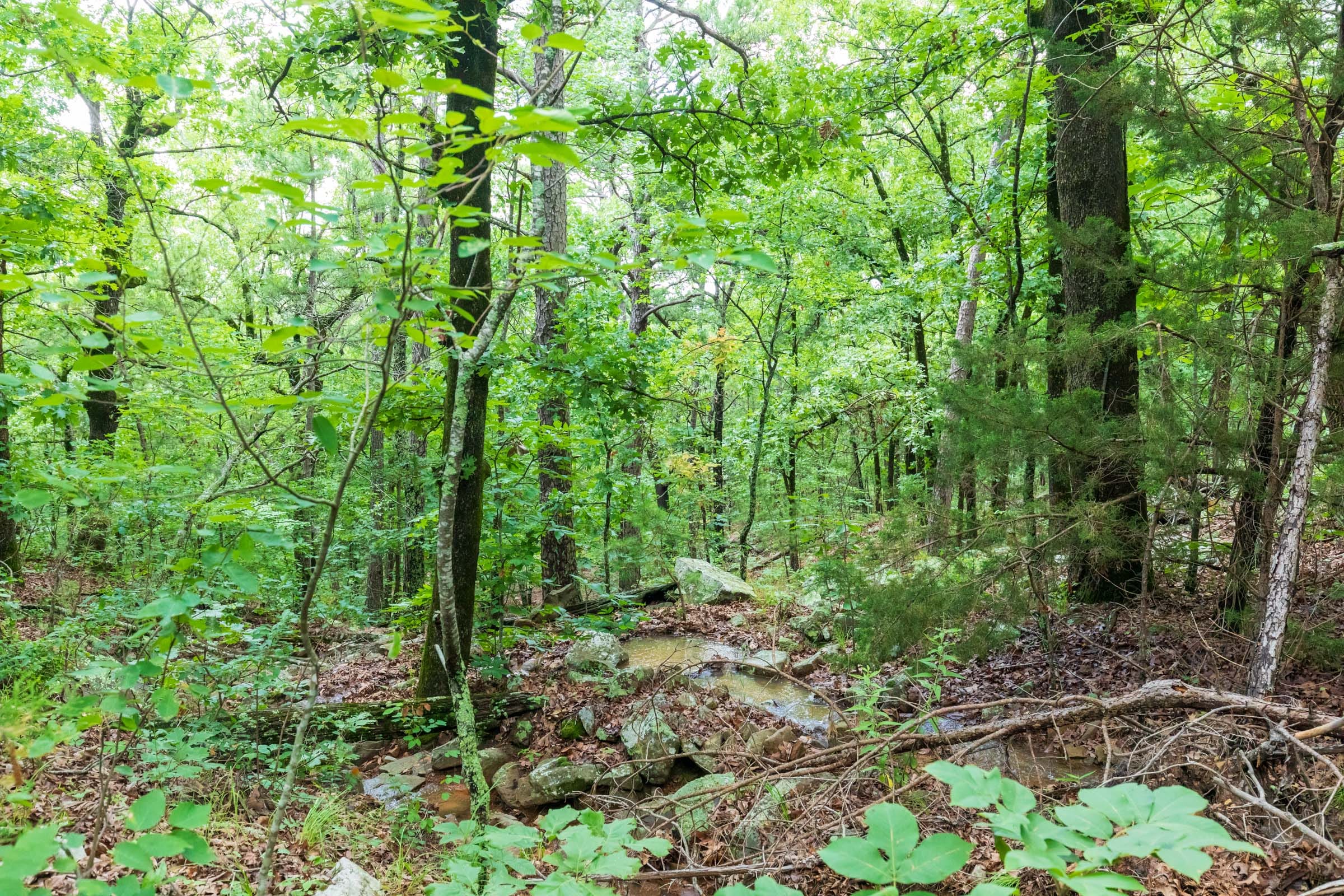 Stone Bridge Phase VI Tract 442 photo 5