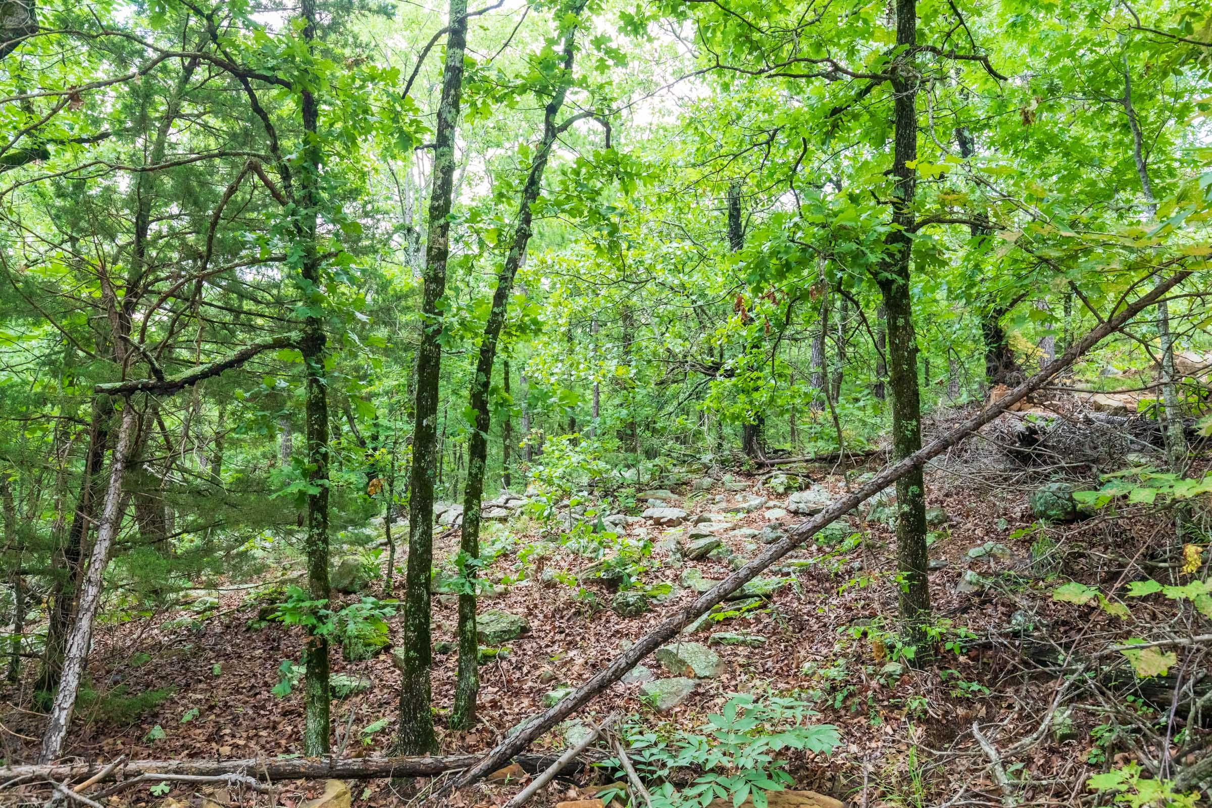 Stone Bridge Phase VI Tract 442 photo 7