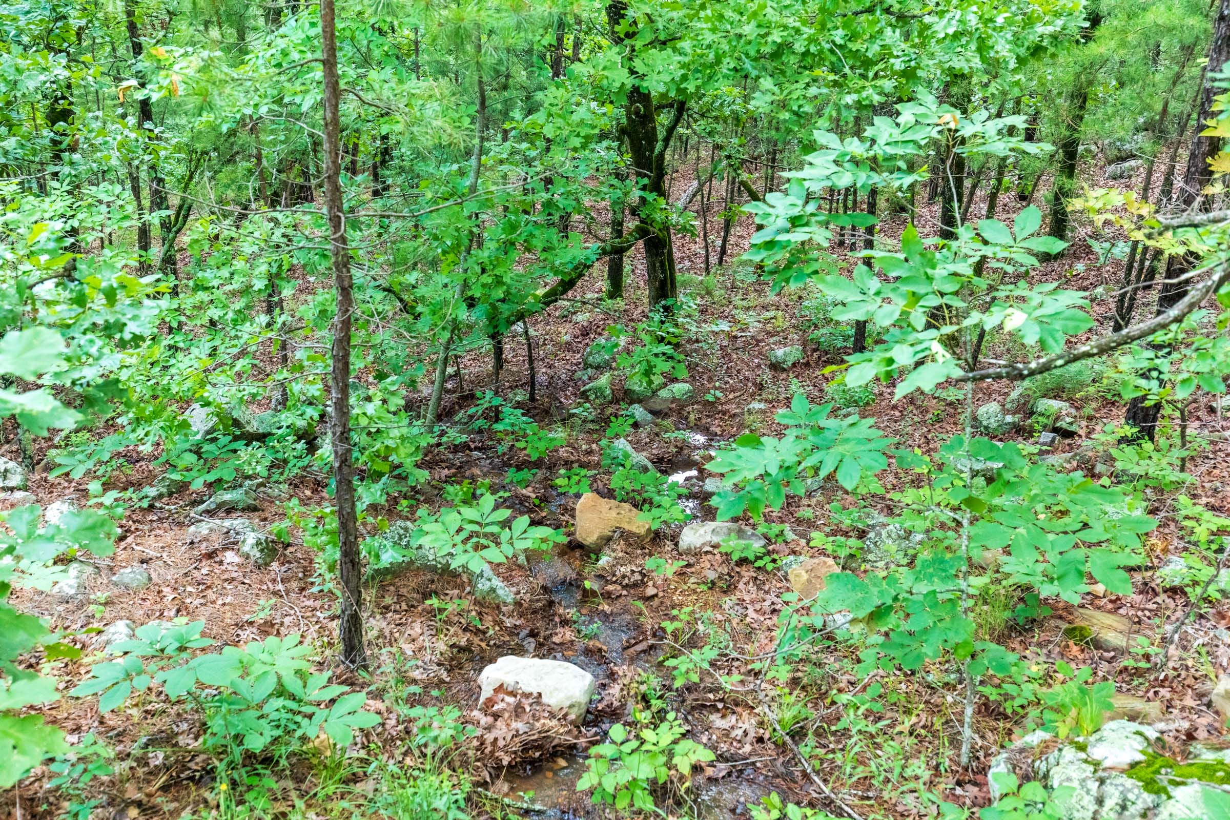 Stone Bridge Phase VI Tract 442 photo 9