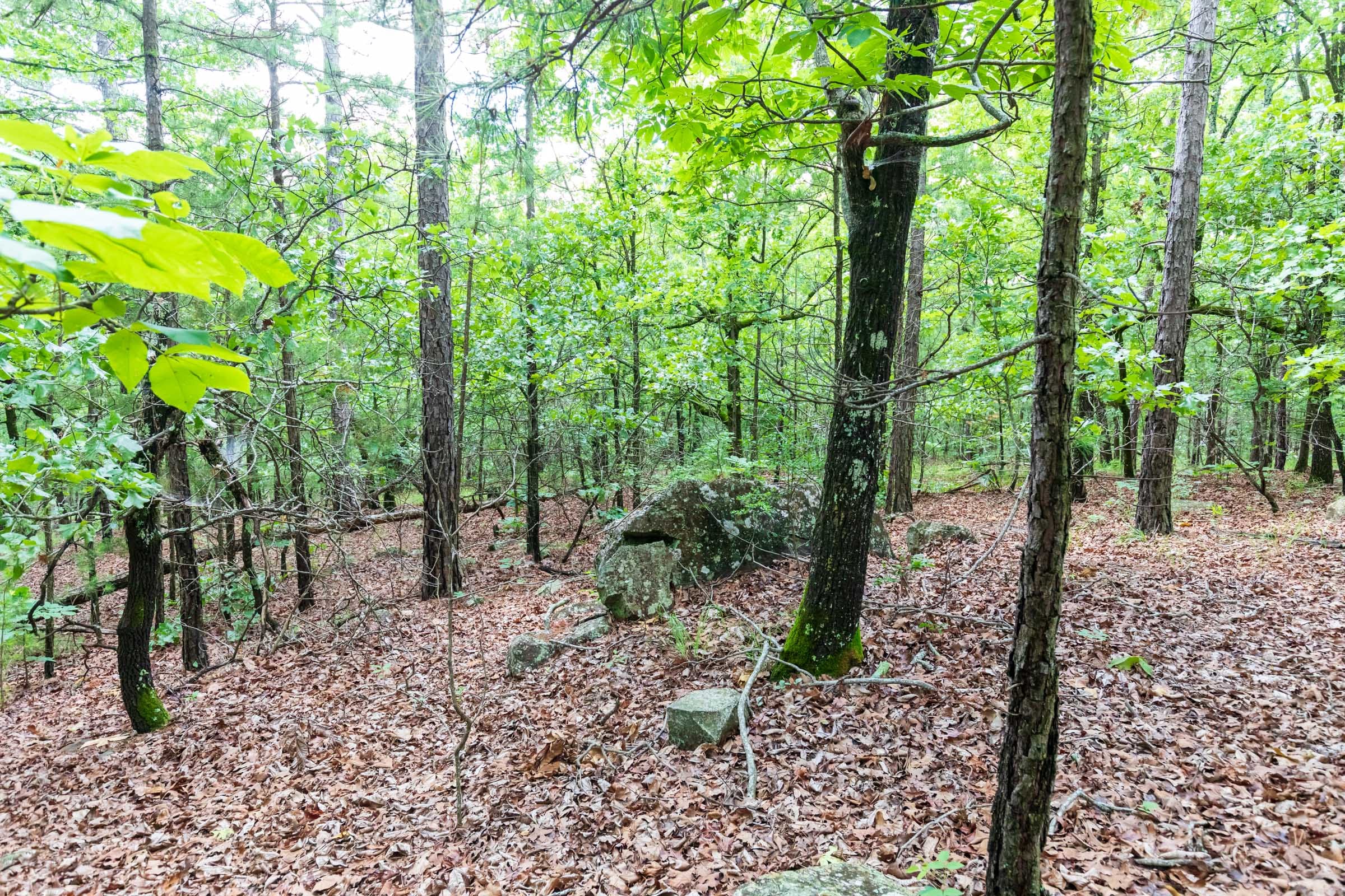 Stone Bridge Phase VI Tract 442 photo 4