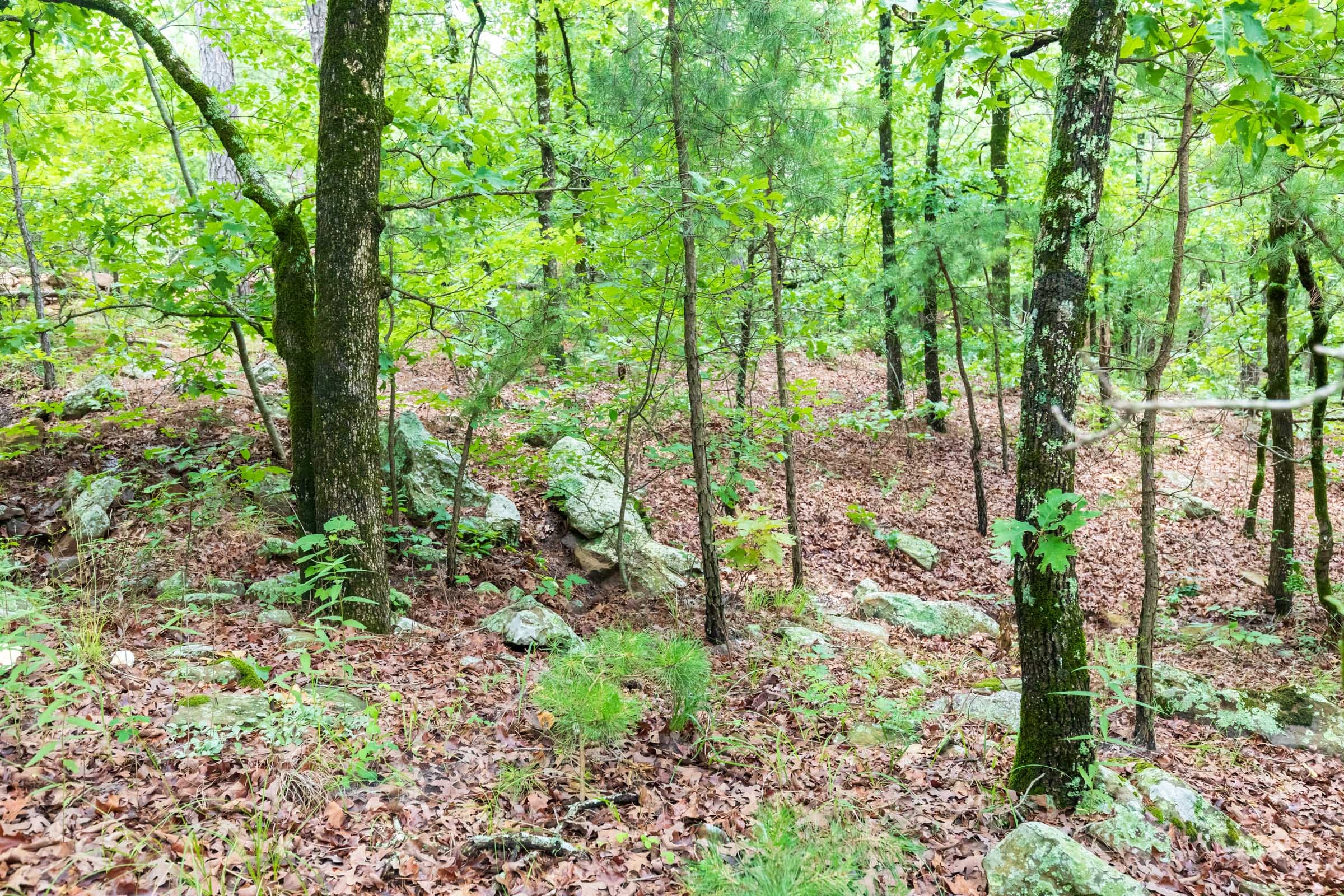Stone Bridge Phase VI Tract 442 photo 8