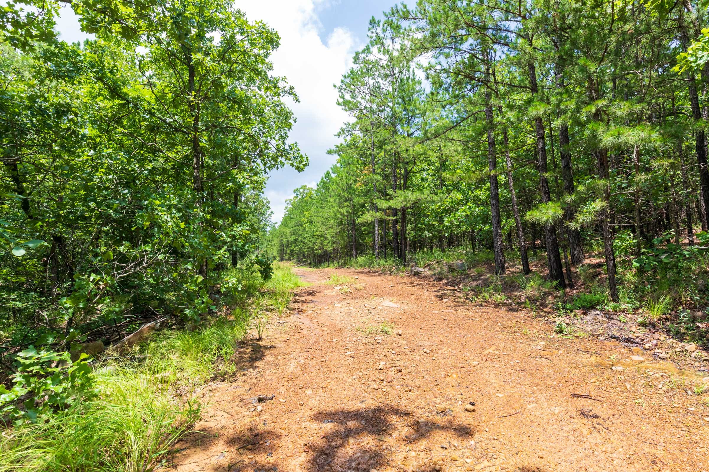 Stone Bridge Phase VI Tract 442 photo 1