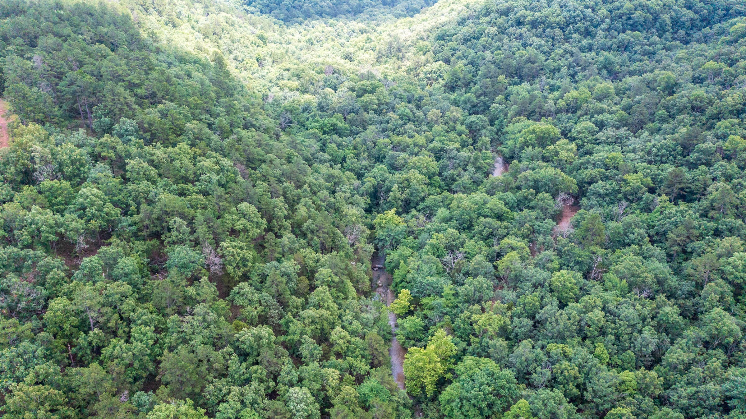 Stone Bridge Phase VI Tract 442 photo 12