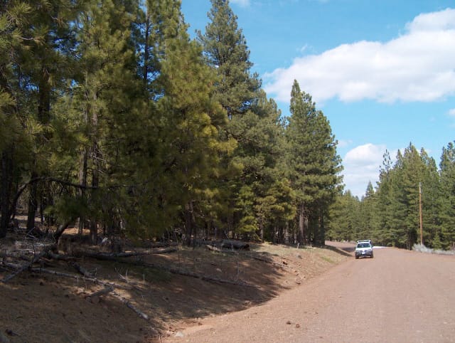 California Pines Tract 10 photo 1