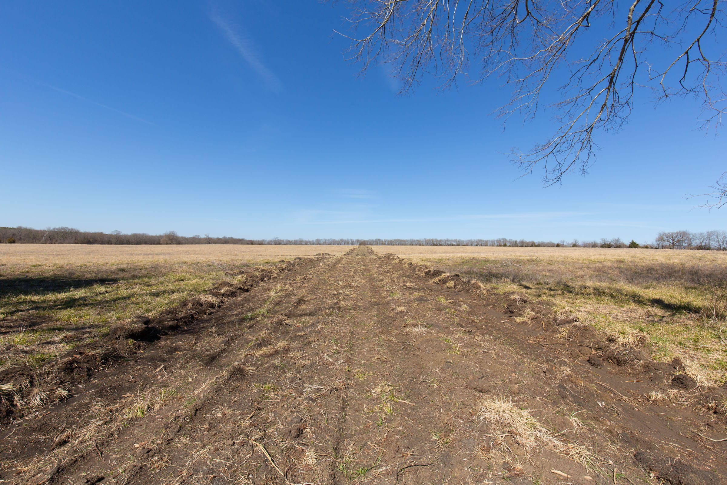Wishing Star Ranch Tract 29 photo 7