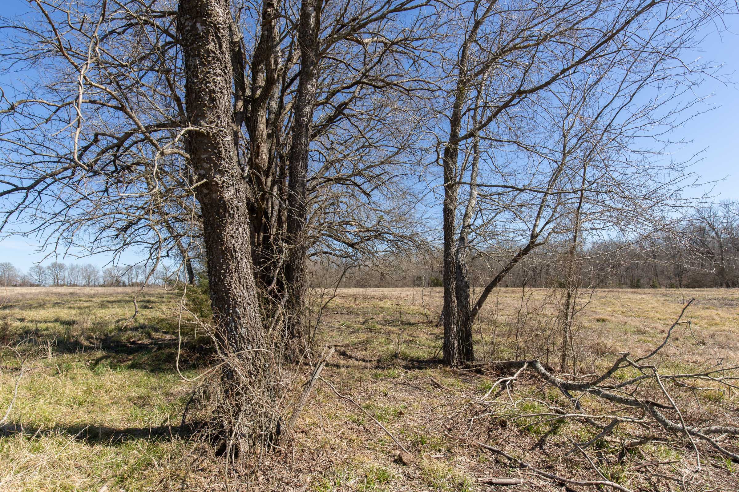 Wishing Star Ranch Tract 29 photo 3