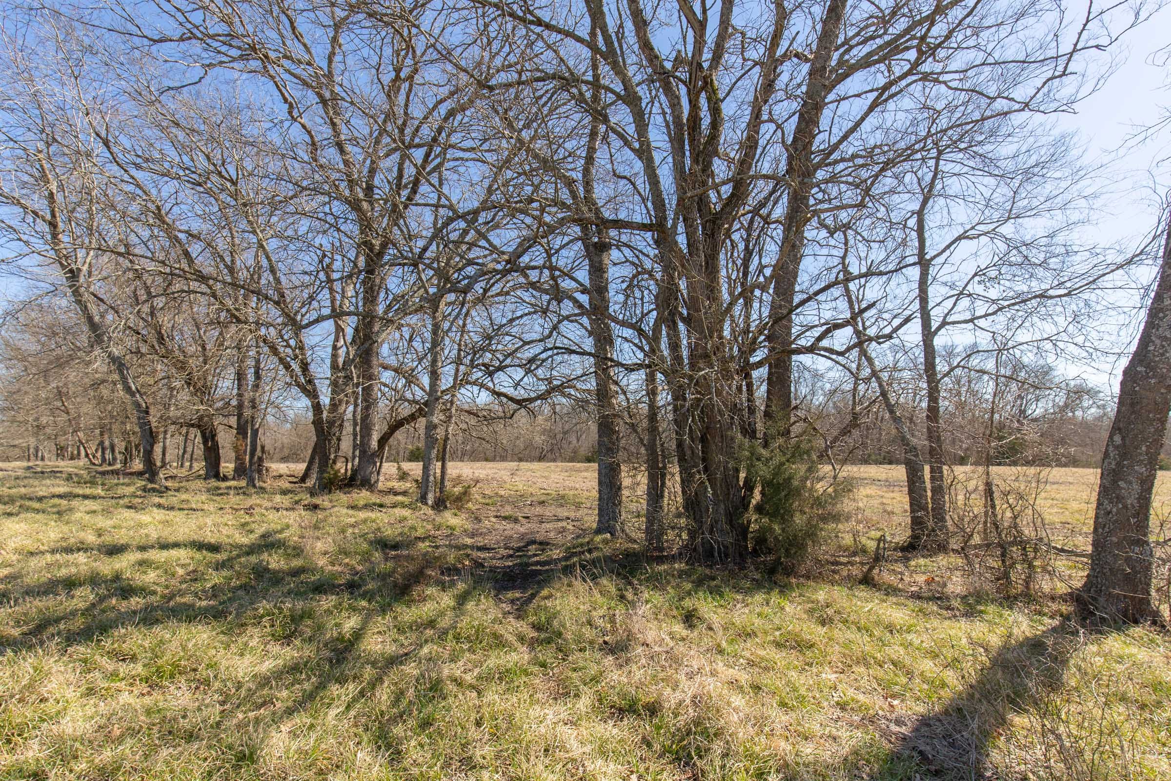 Wishing Star Ranch Tract 29 photo 4