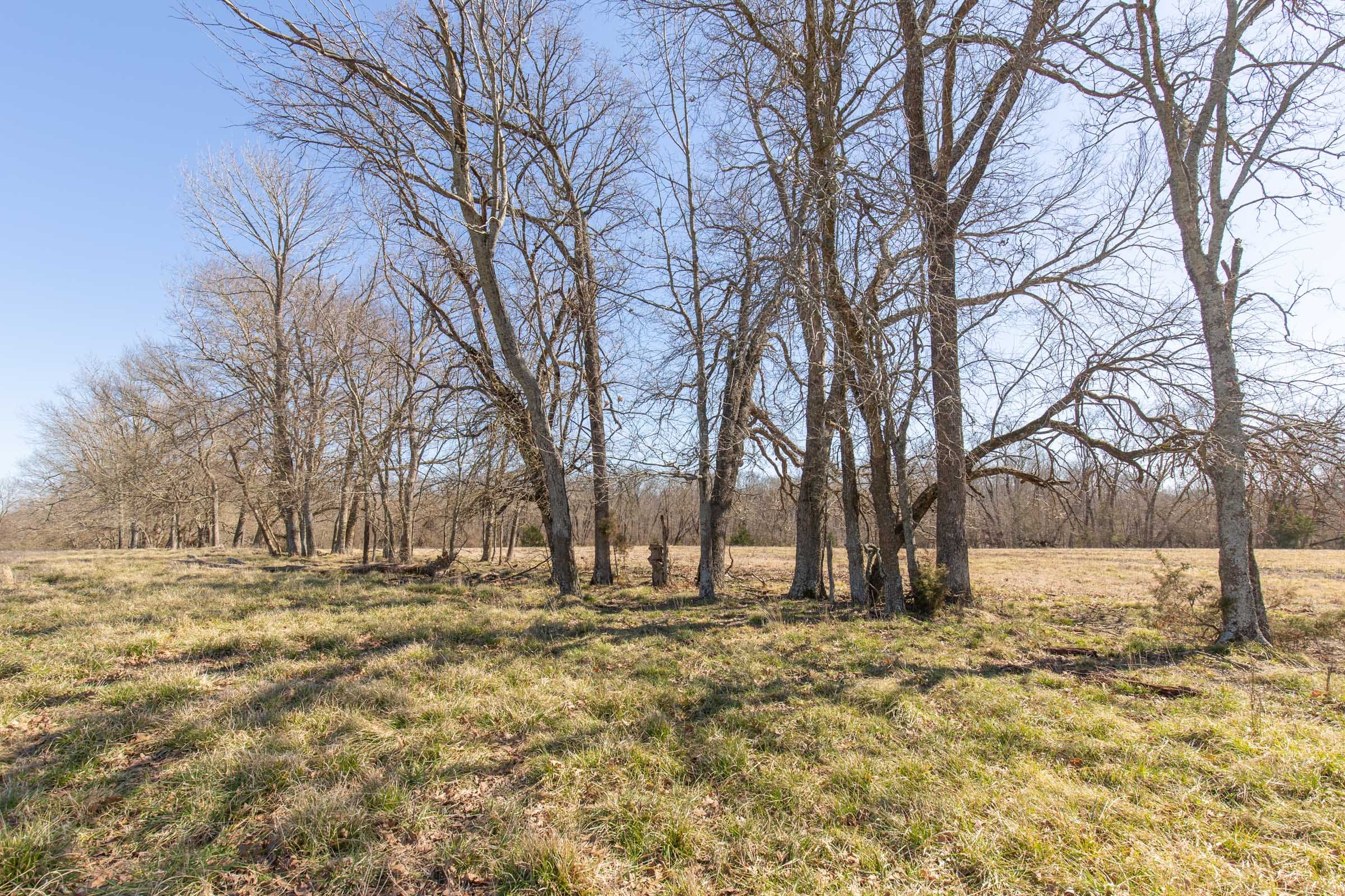 Wishing Star Ranch Tract 29 photo 5