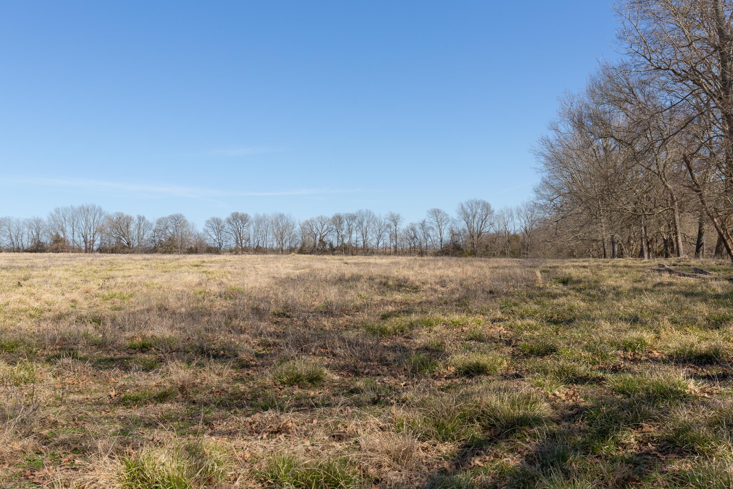 Wishing Star Ranch Tract 29 photo 6