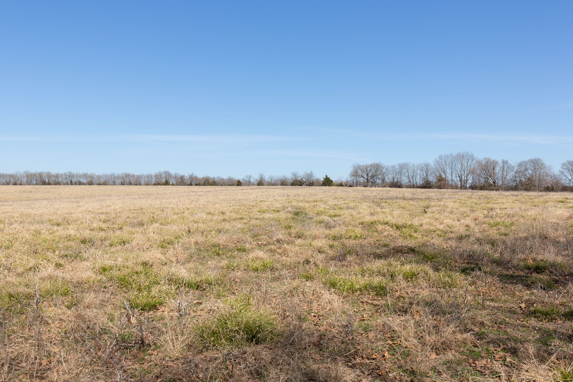 Wishing Star Ranch Tract 29 photo 8