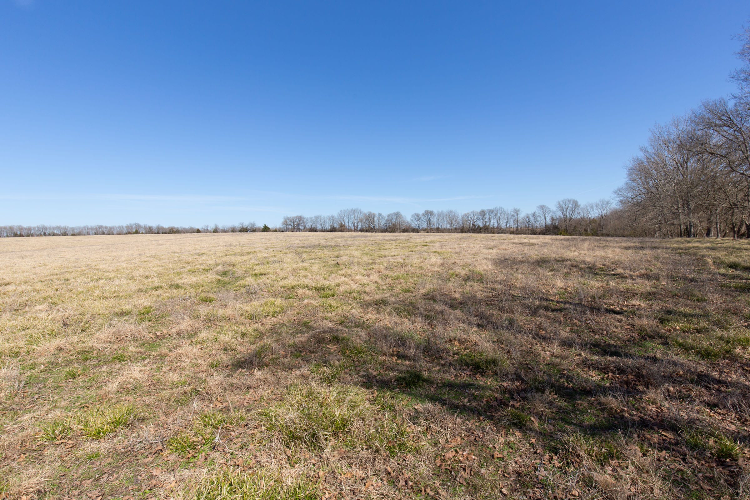 Wishing Star Ranch Tract 29 photo 9