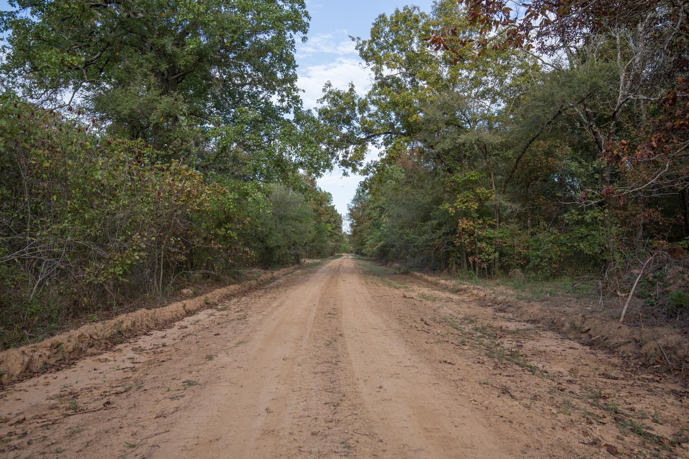 Stone Bridge Phase I Tract 38 photo 7
