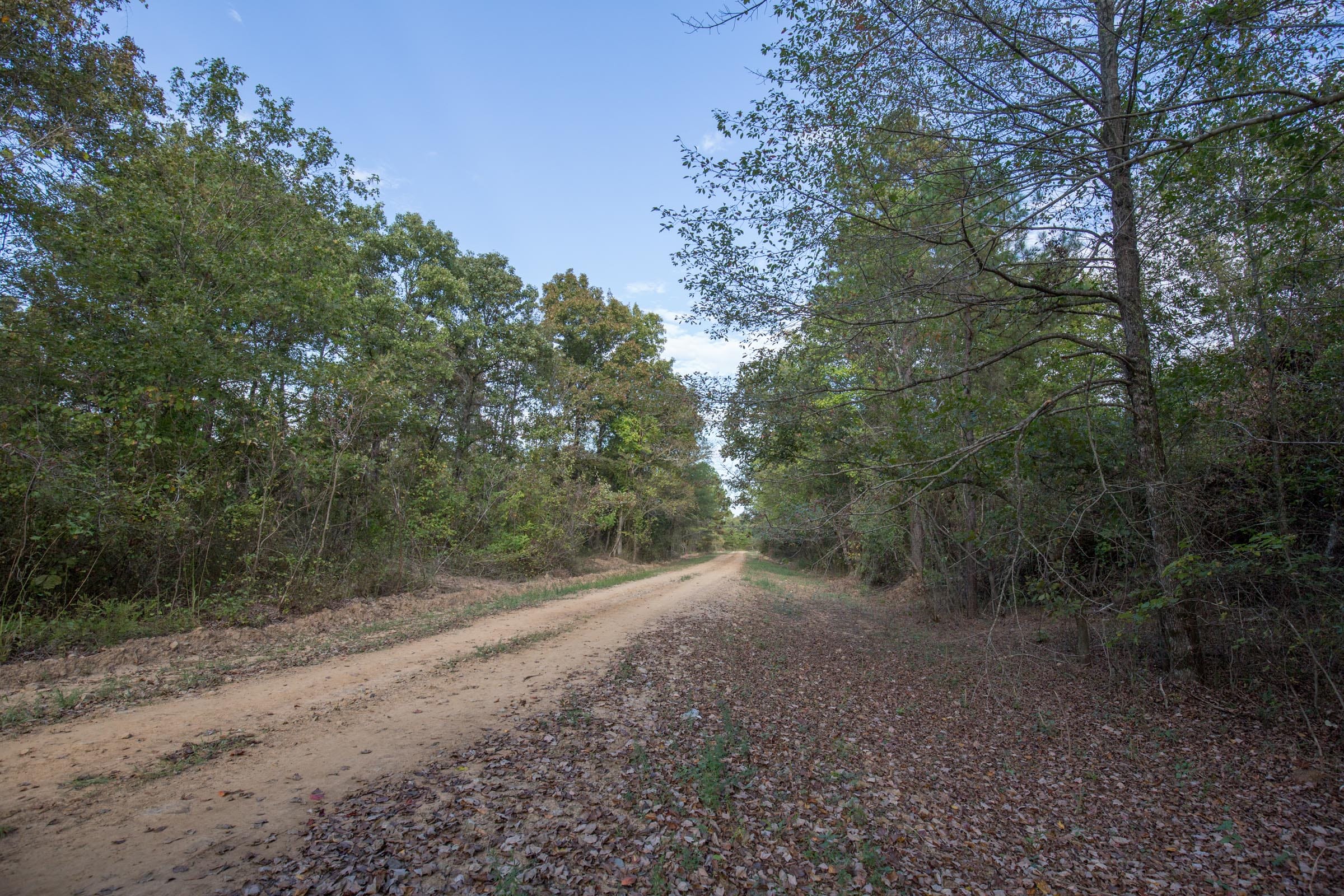 Stone Bridge Phase I Tract 38 photo 10