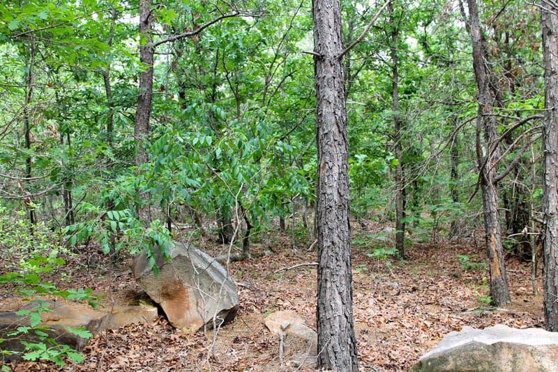 Trophy Ridge Phase II Tract 60 photo 2