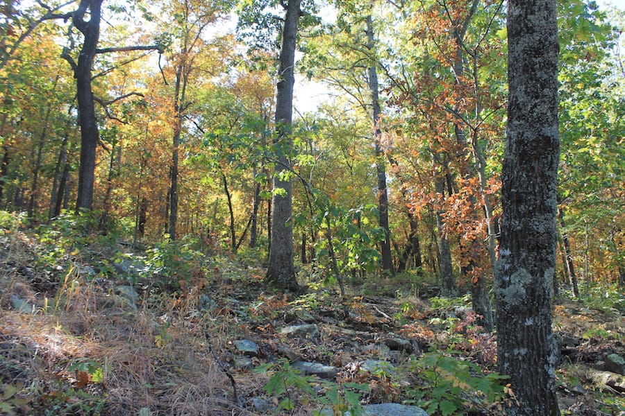 Indian Ridge – Phase III Tract 107 photo 3