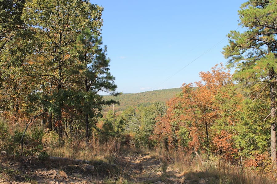 Indian Ridge – Phase III Tract 107 photo 5