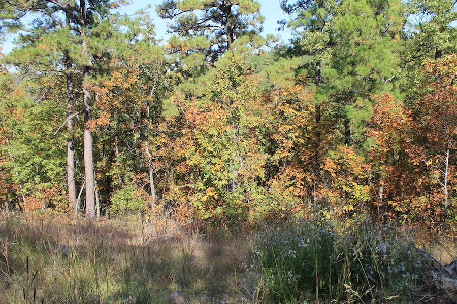 Indian Ridge – Phase III Tract 107 photo 7