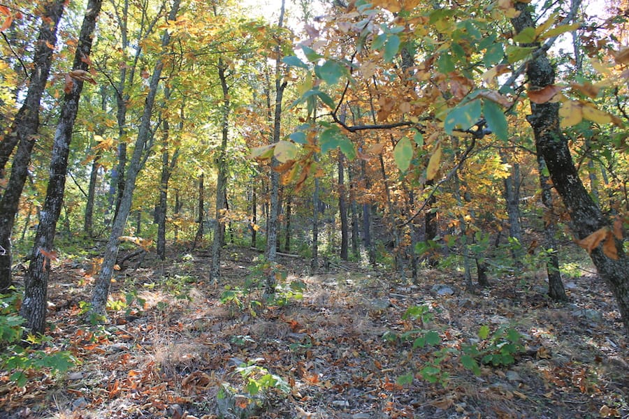 Indian Ridge – Phase III Tract 107 photo 8