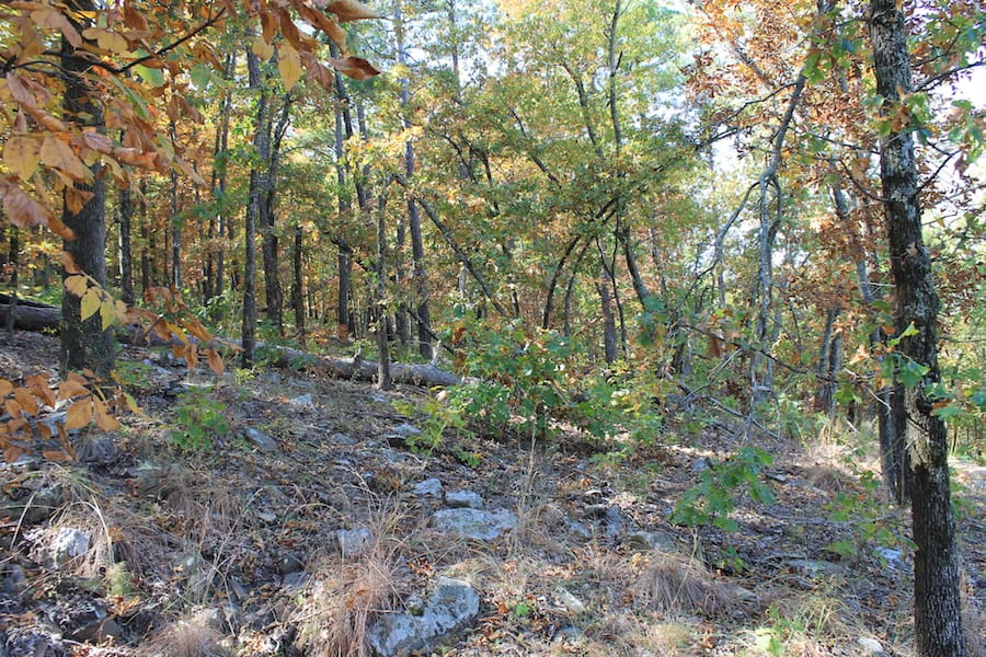 Indian Ridge – Phase III Tract 107 photo 9
