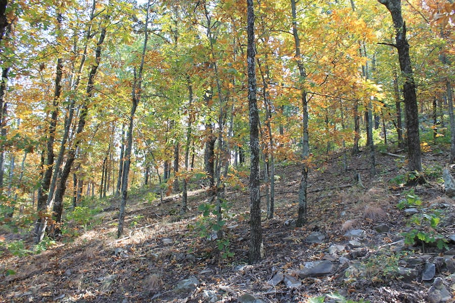 Indian Ridge – Phase III Tract 107 photo 10