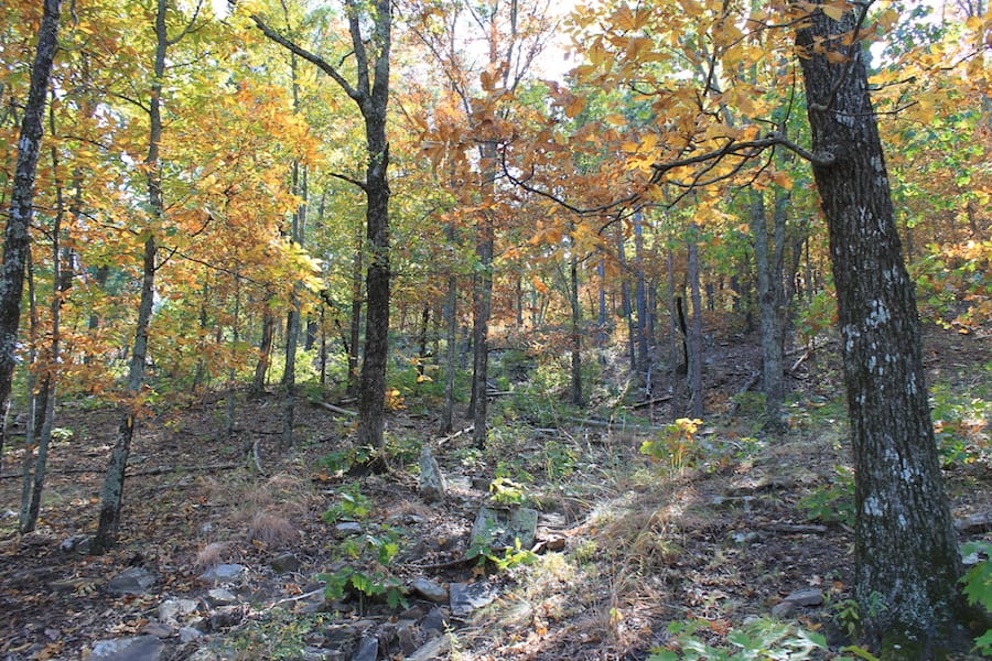 Indian Ridge – Phase III Tract 107 photo 11