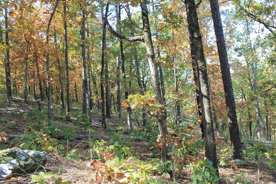 Indian Ridge – Phase III Tract 107 photo 14