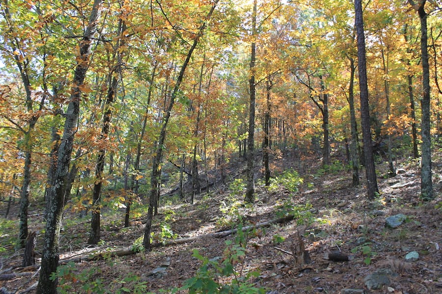 Indian Ridge – Phase III Tract 107 photo 15