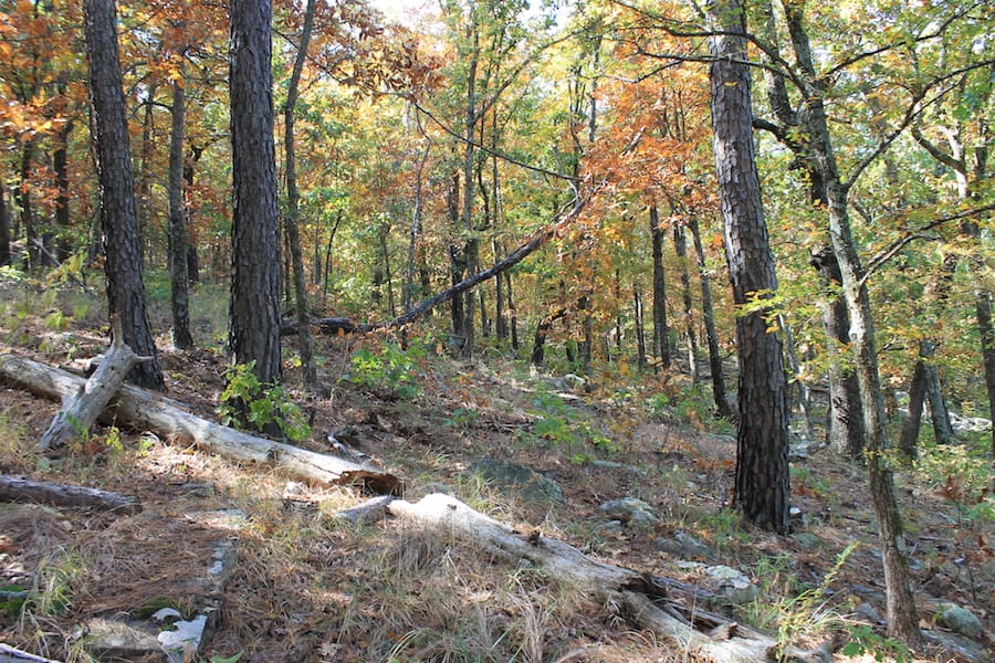 Indian Ridge – Phase III Tract 107 photo 16