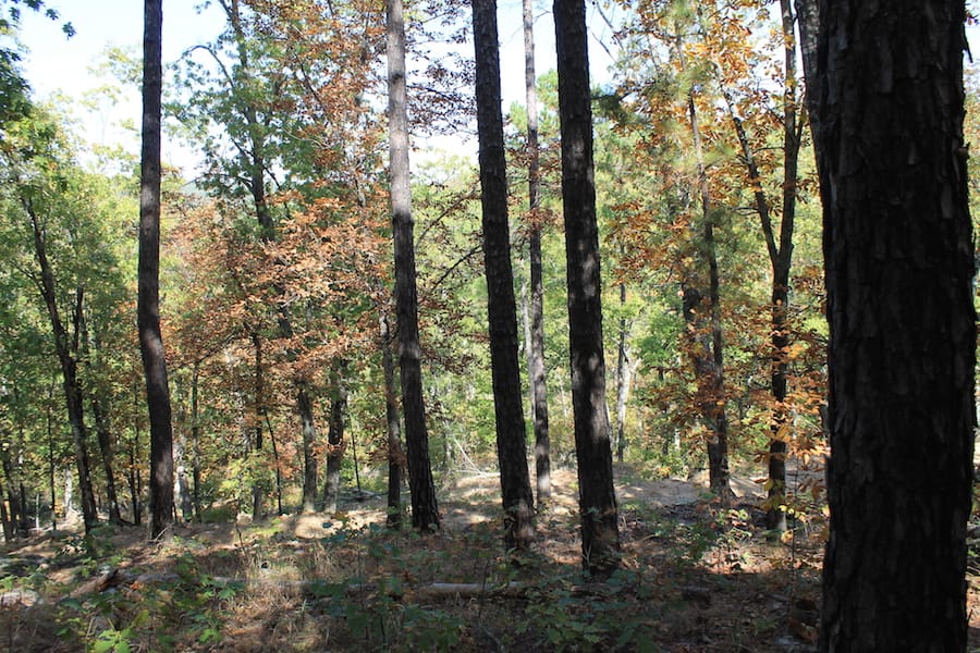 Indian Ridge – Phase III Tract 107 photo 17