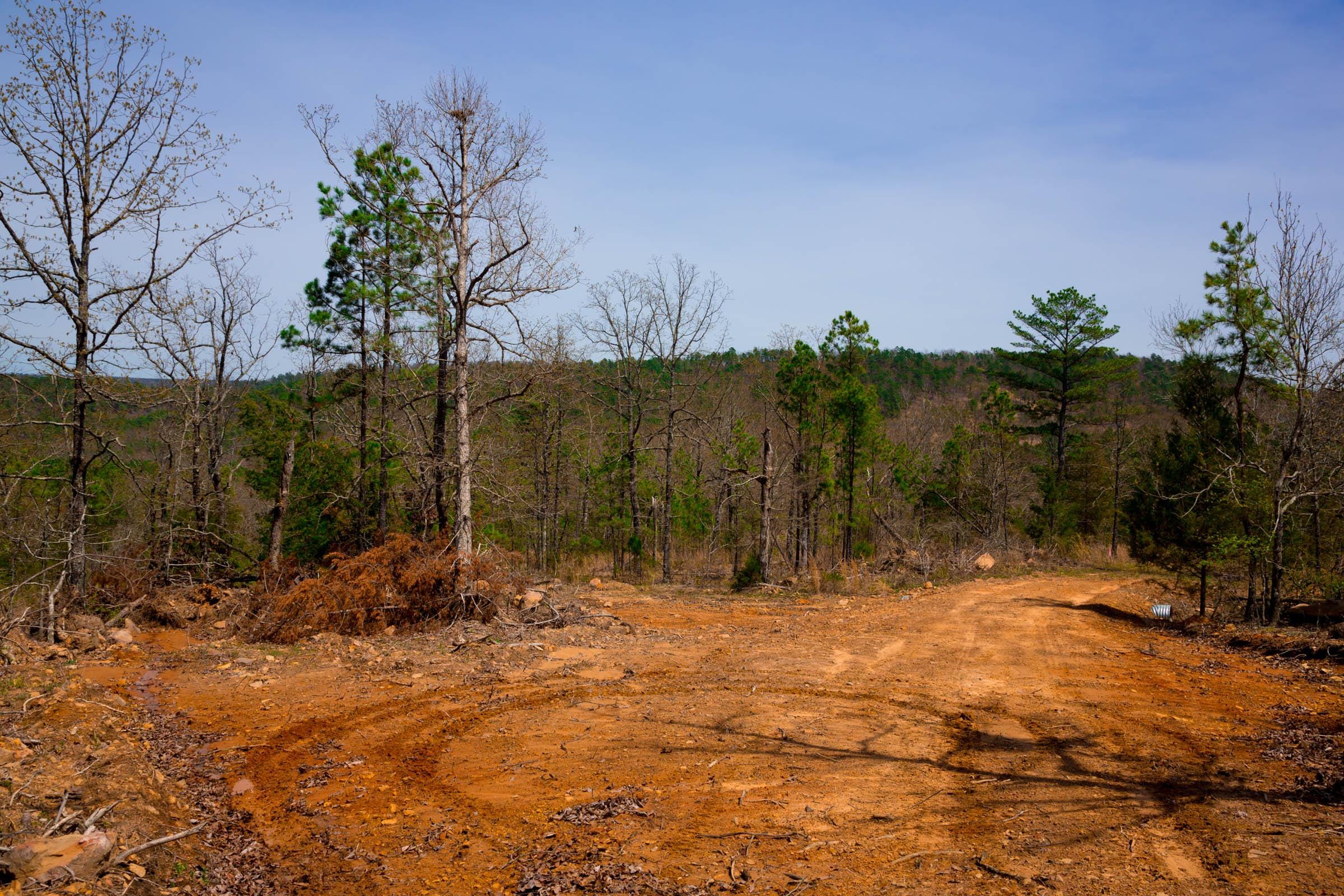 Stone Creek Phase II Tract 194 photo 7