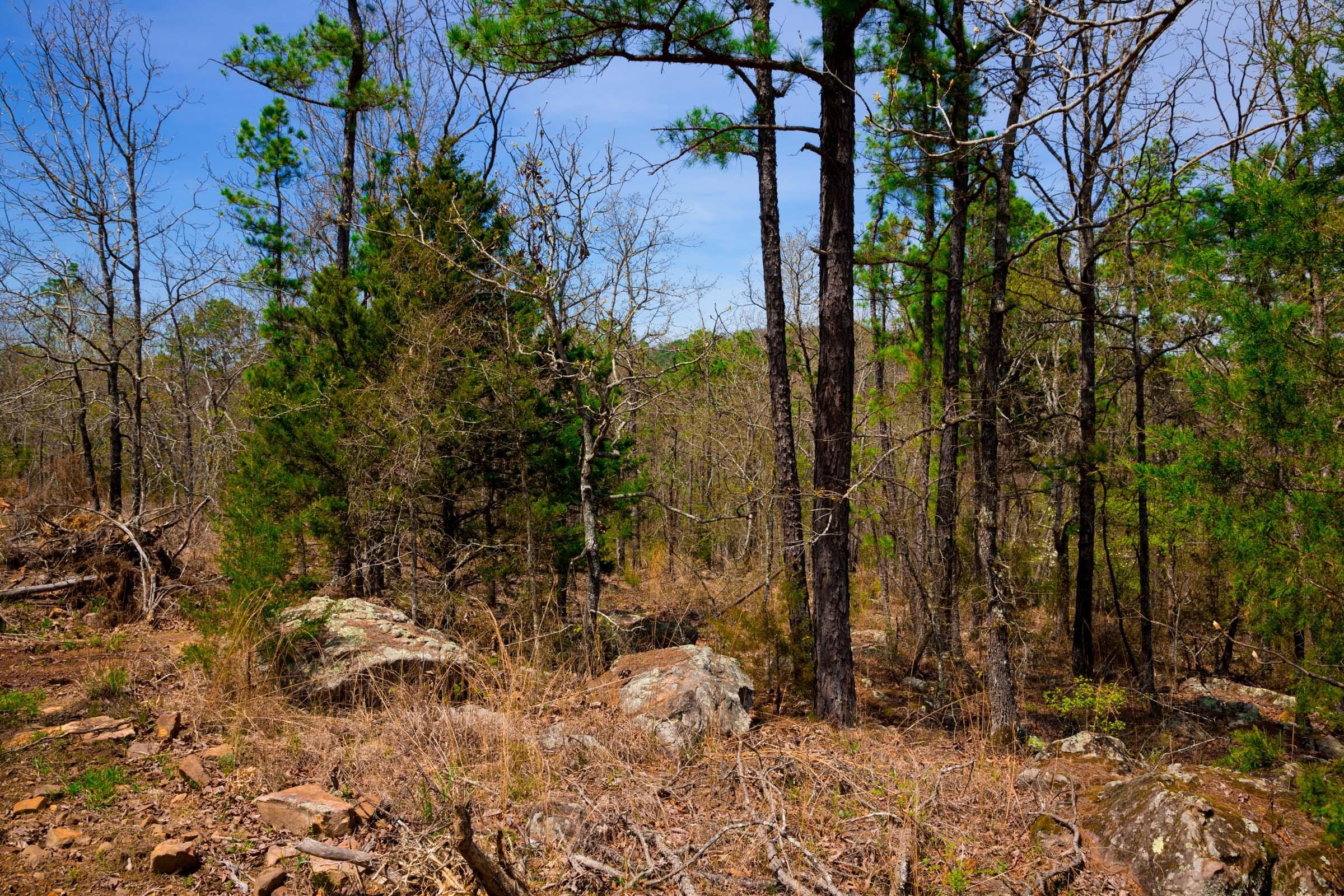 Stone Creek Phase II Tract 194 photo 6