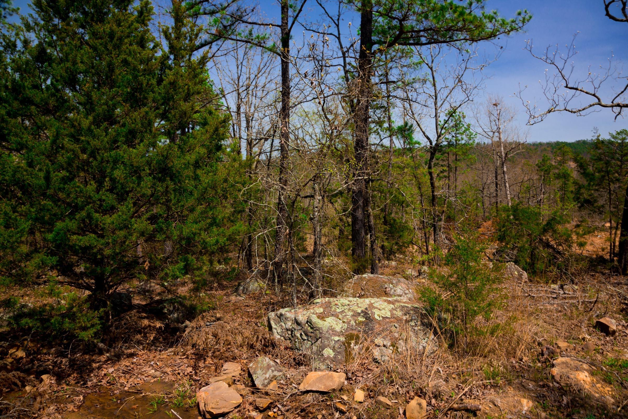 Stone Creek Phase II Tract 194 photo 8