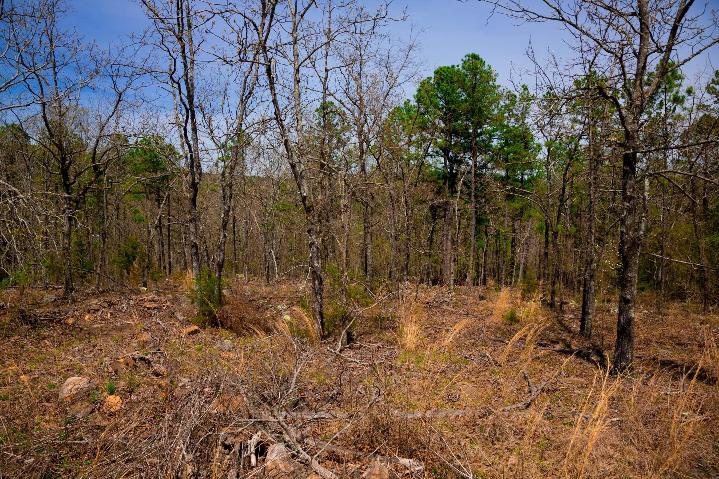 Stone Creek Phase II Tract 194 photo 9