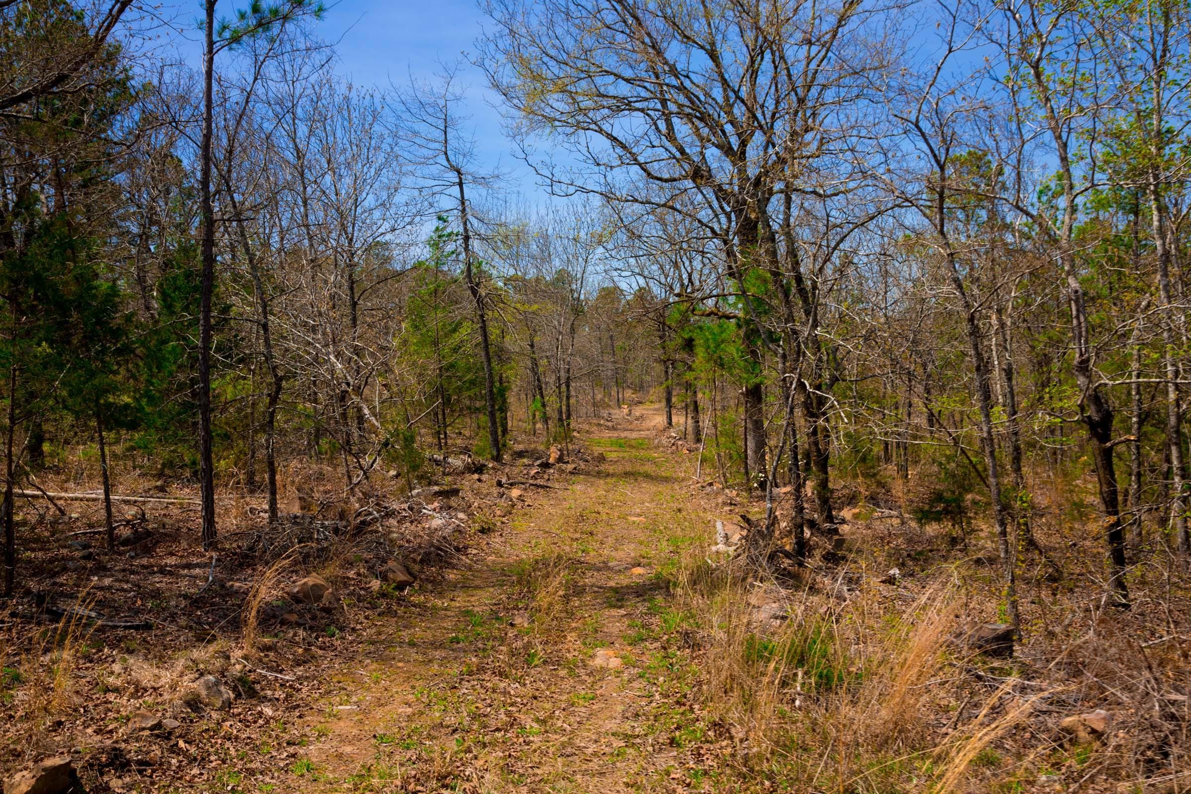 Stone Creek Phase II Tract 194 photo 10