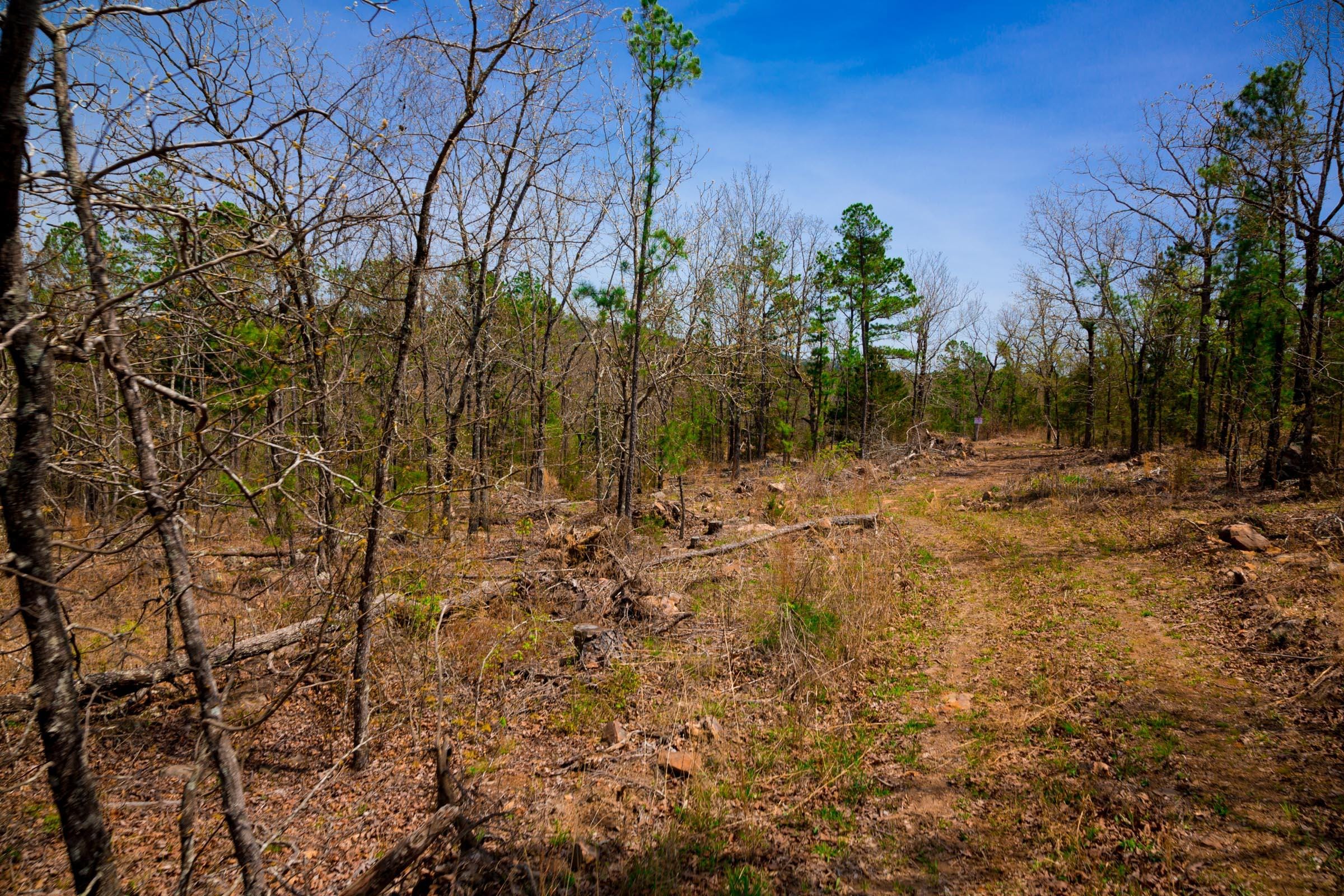 Stone Creek Phase II Tract 194 photo 11