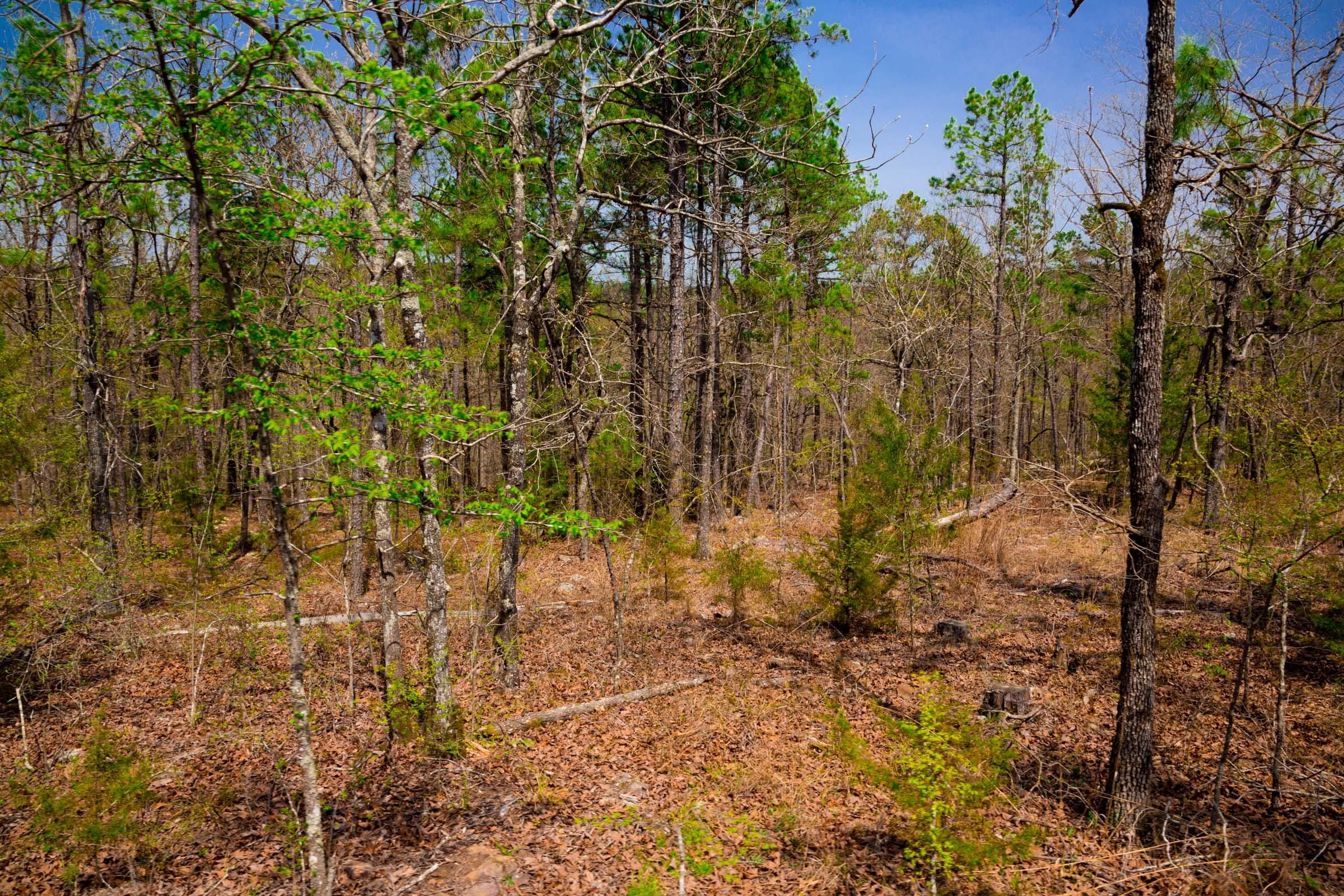 Stone Creek Phase II Tract 194 photo 12