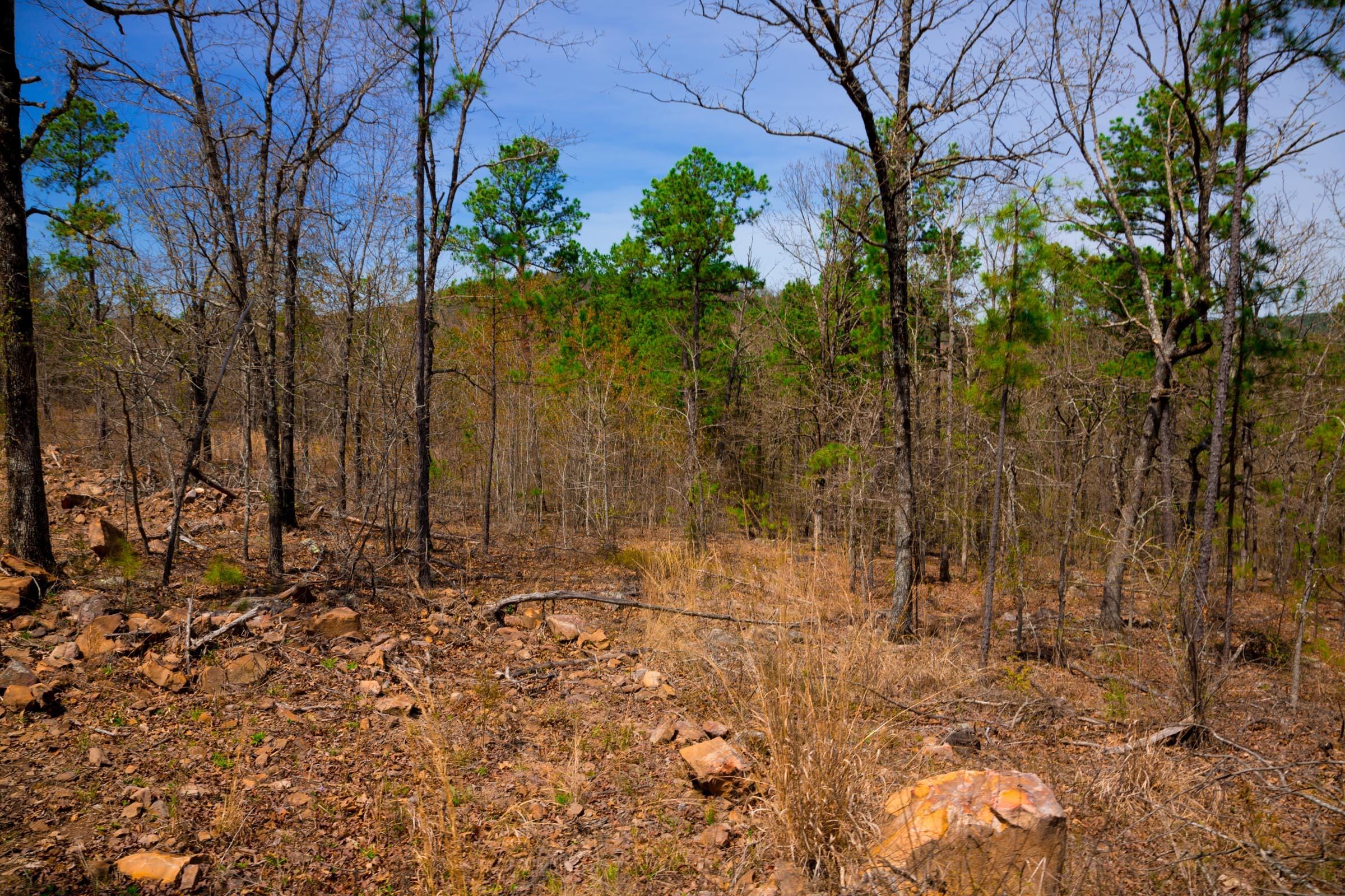 Stone Creek Phase II Tract 194 photo 13