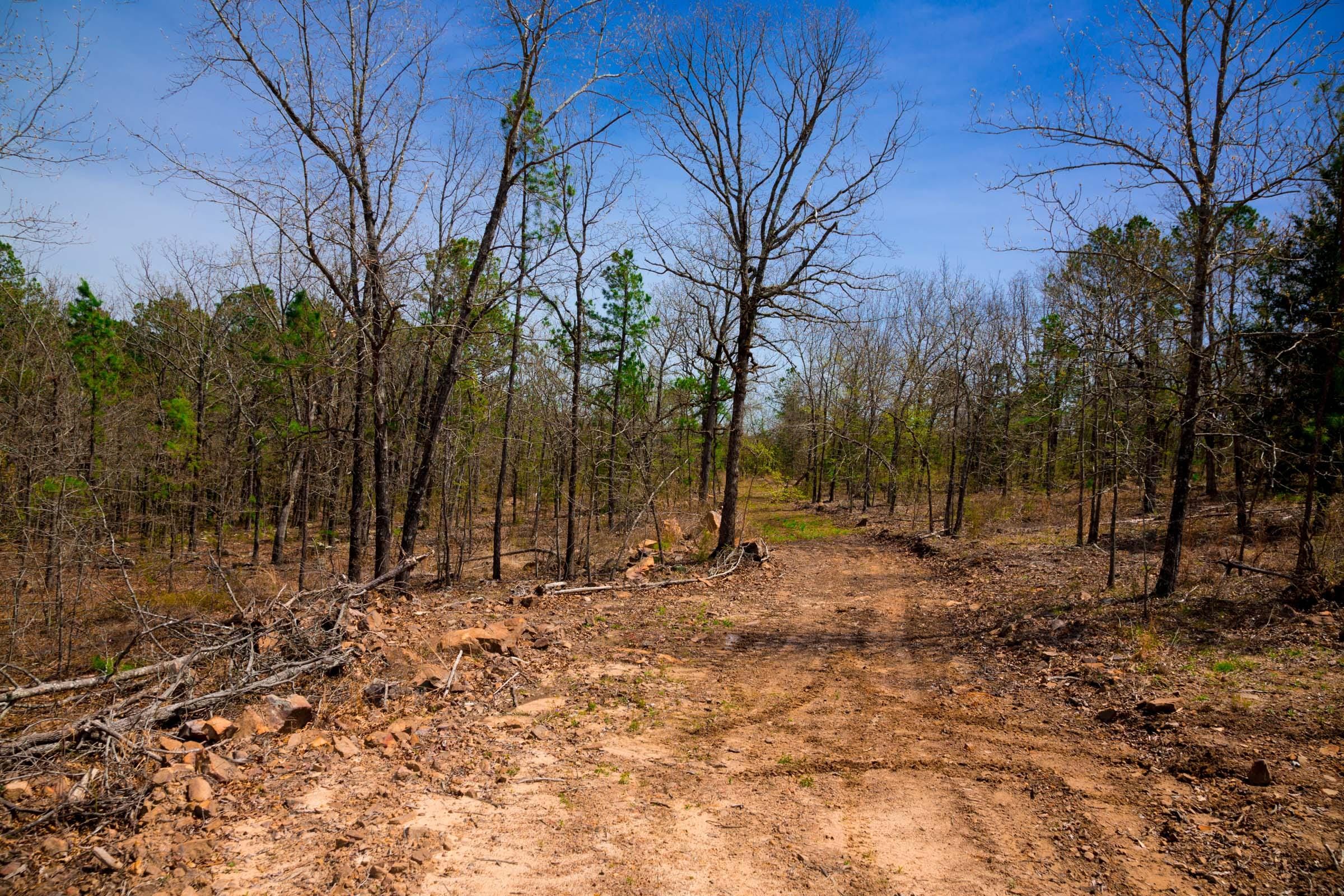 Stone Creek Phase II Tract 194 photo 1