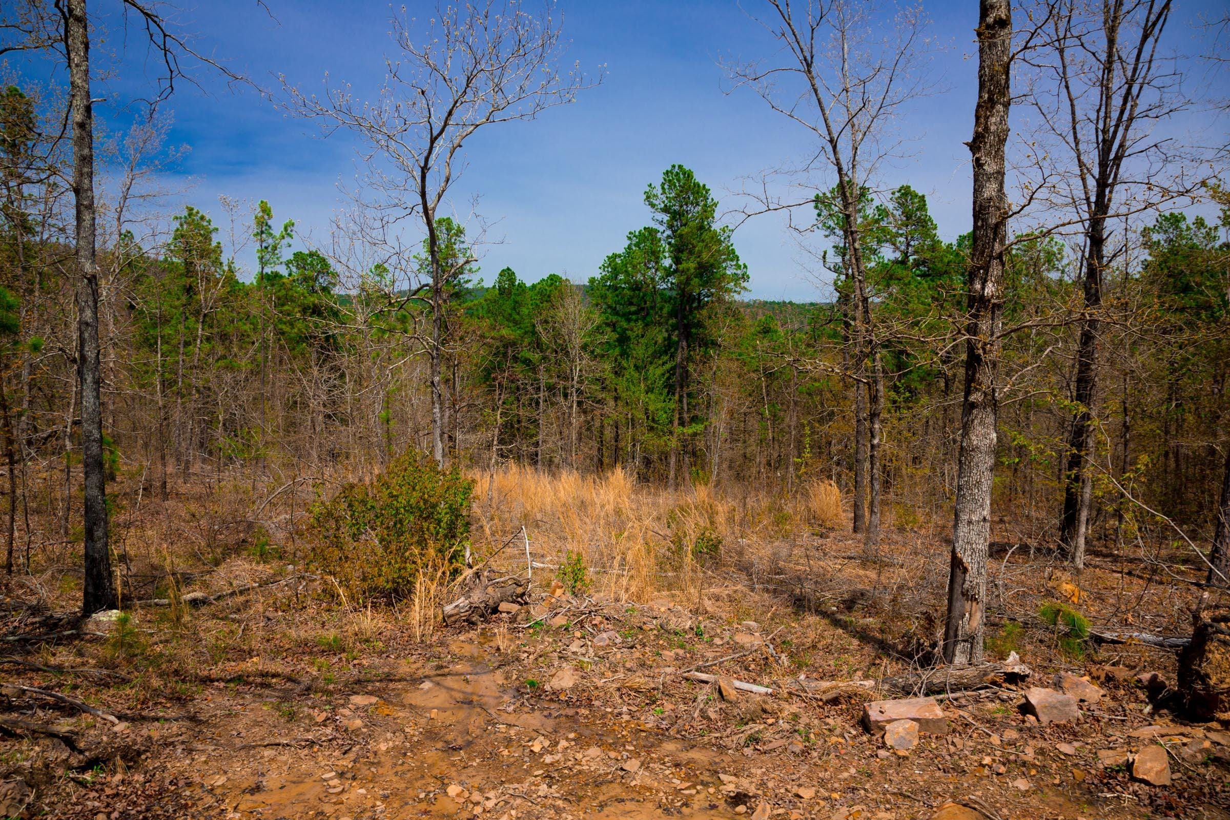 Stone Creek Phase II Tract 194 photo 15