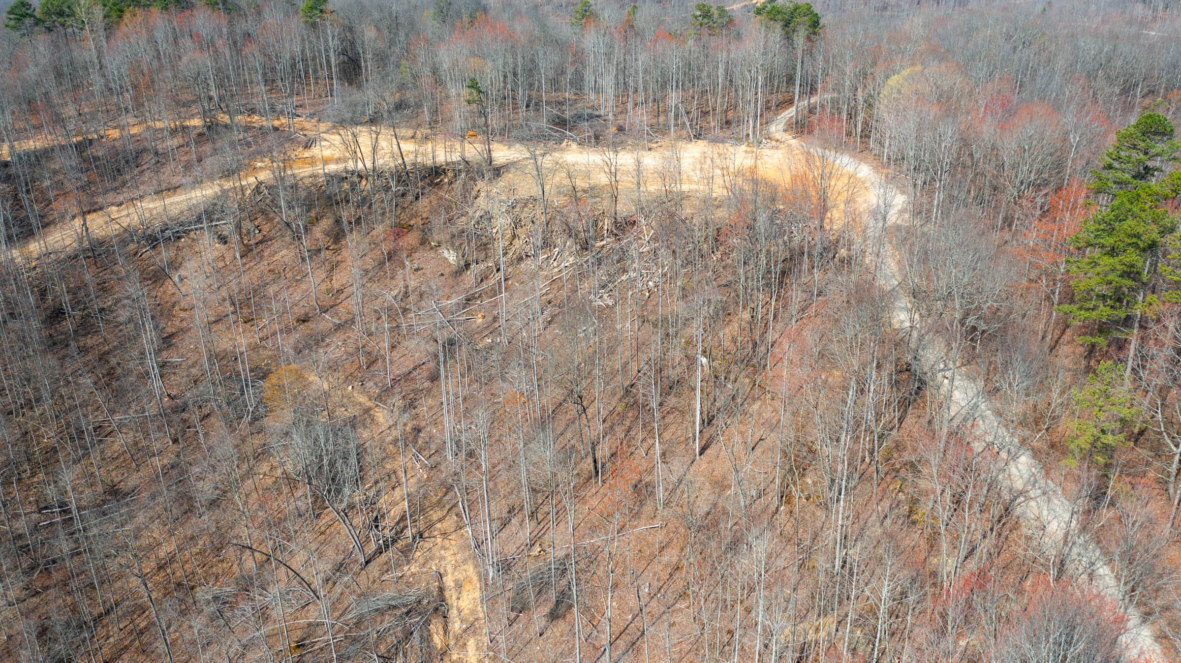 Creek Hollow Phase I Tract 24 photo 10