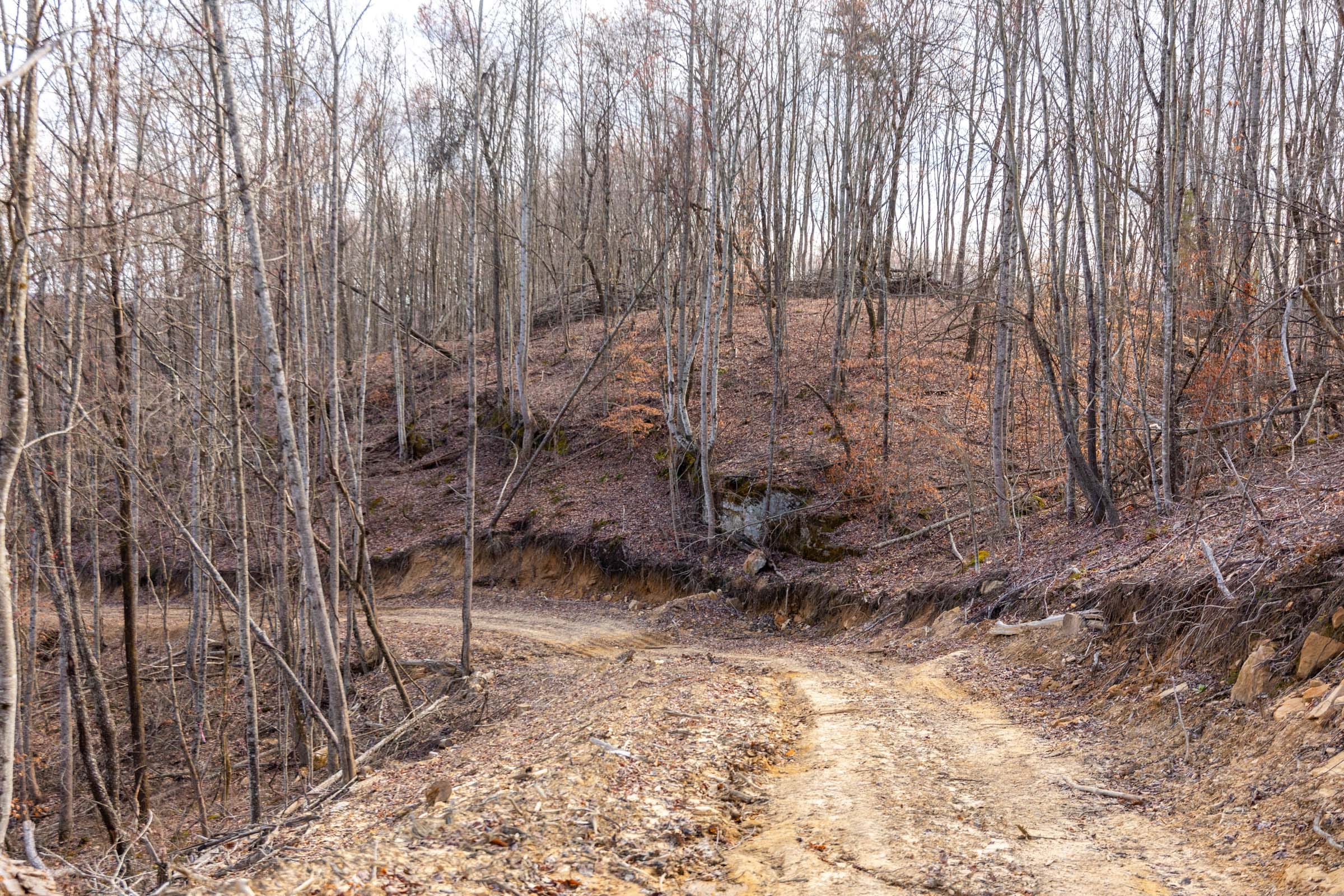 Creek Hollow Phase I Tract 24 photo 3