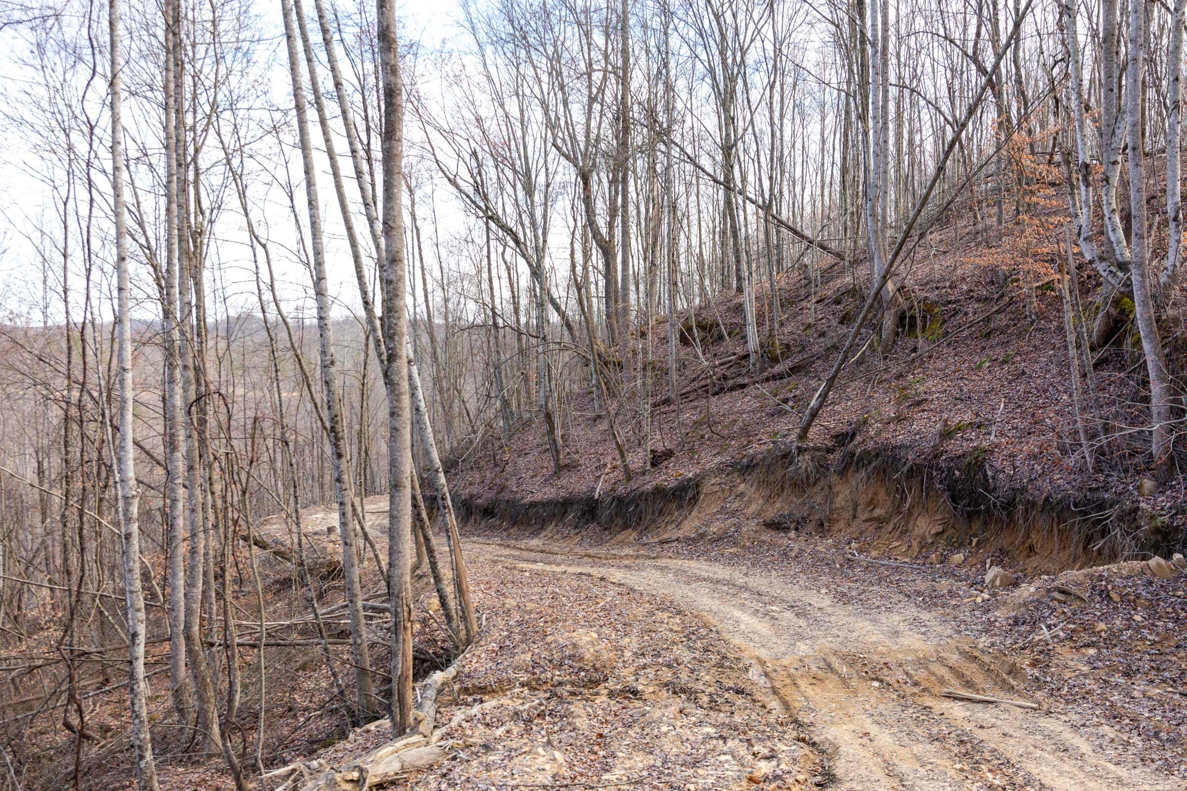 Creek Hollow Phase I Tract 24 photo 5