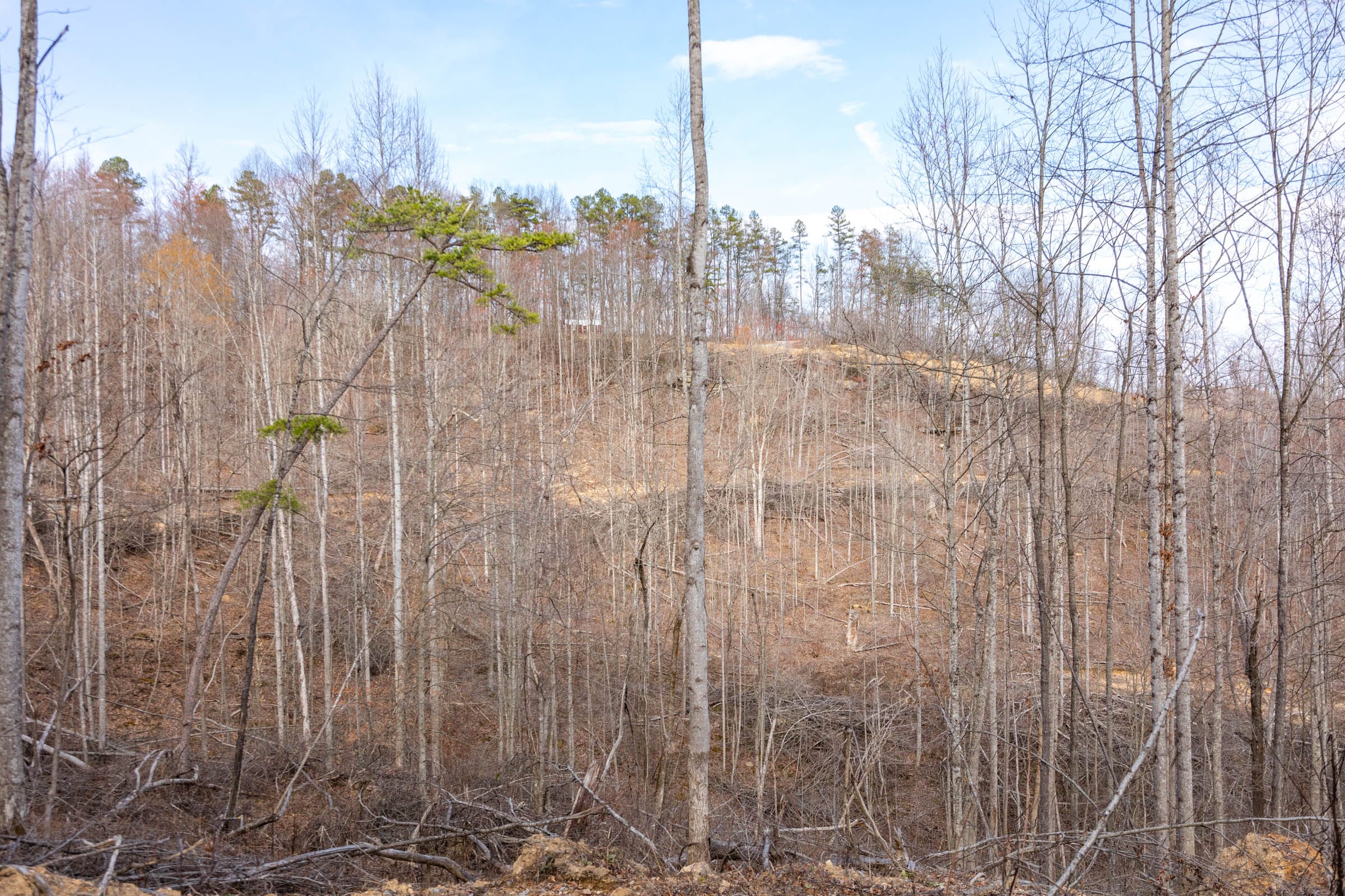 Creek Hollow Phase I Tract 24 photo 8