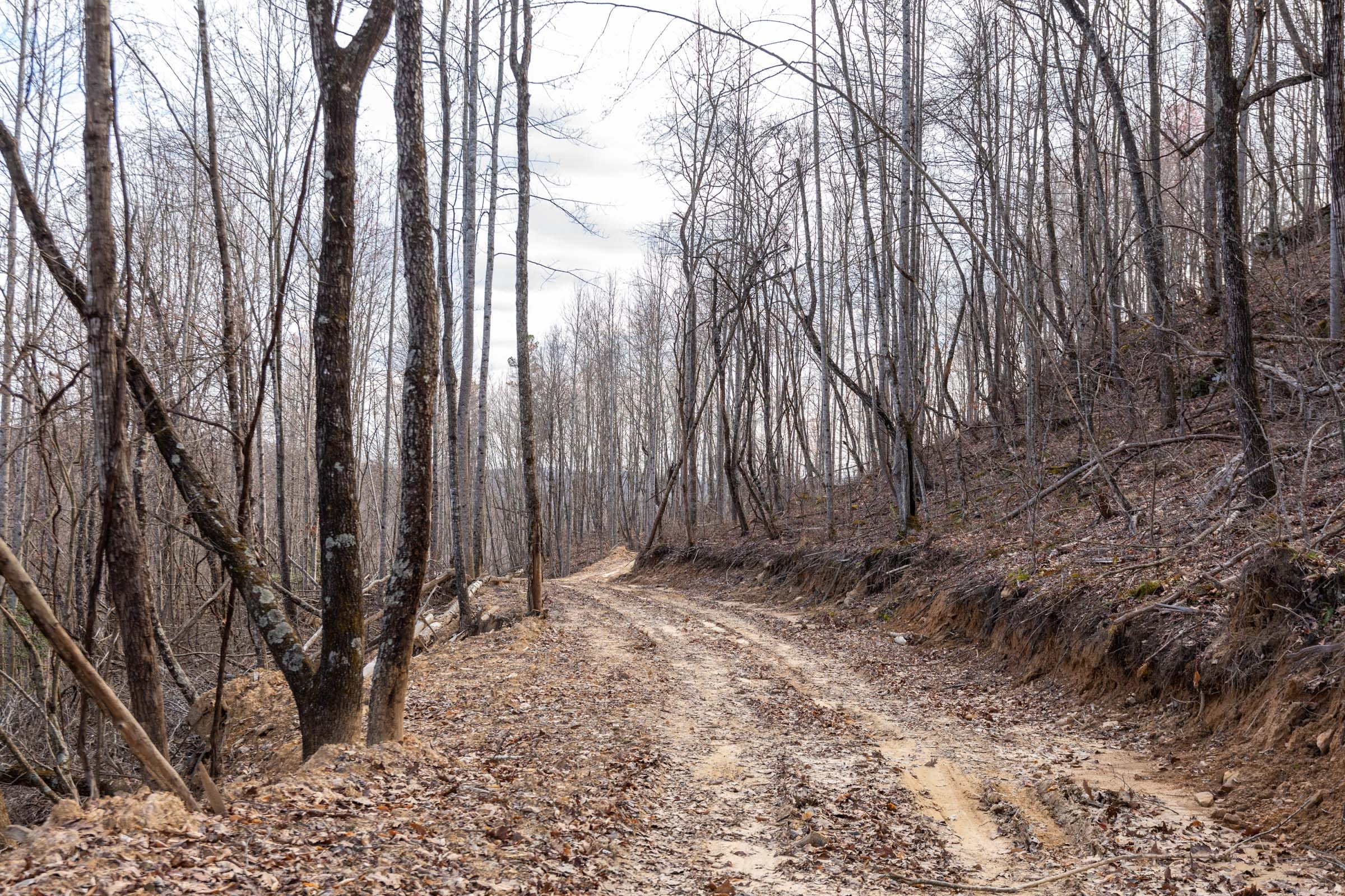 Creek Hollow Phase I Tract 24 photo 7