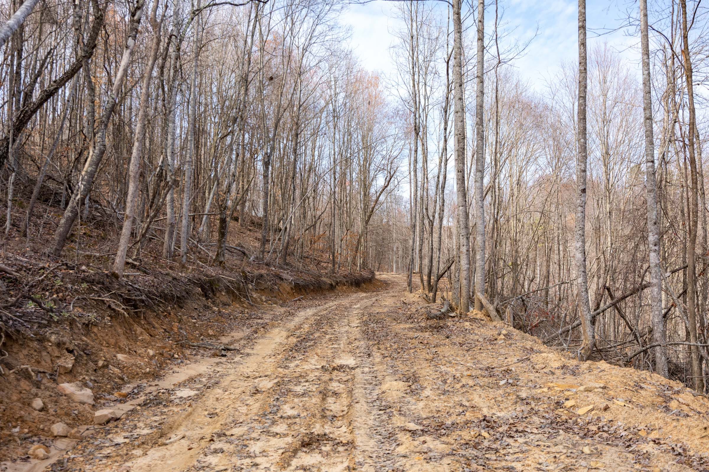 Creek Hollow Phase I Tract 24 photo 9