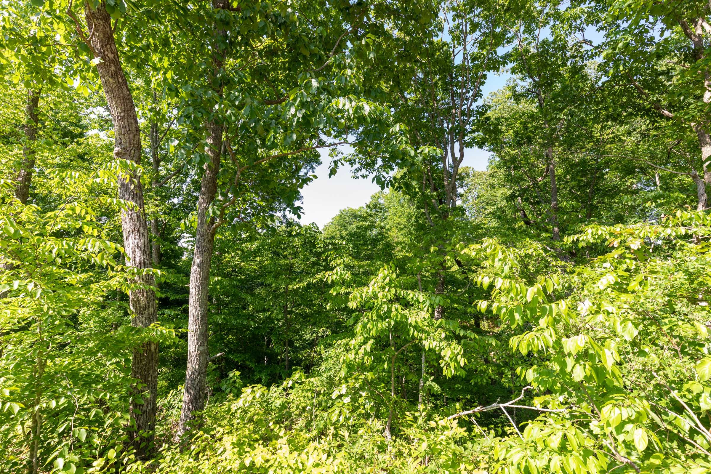 Cedar Creek Tract 65 photo 5