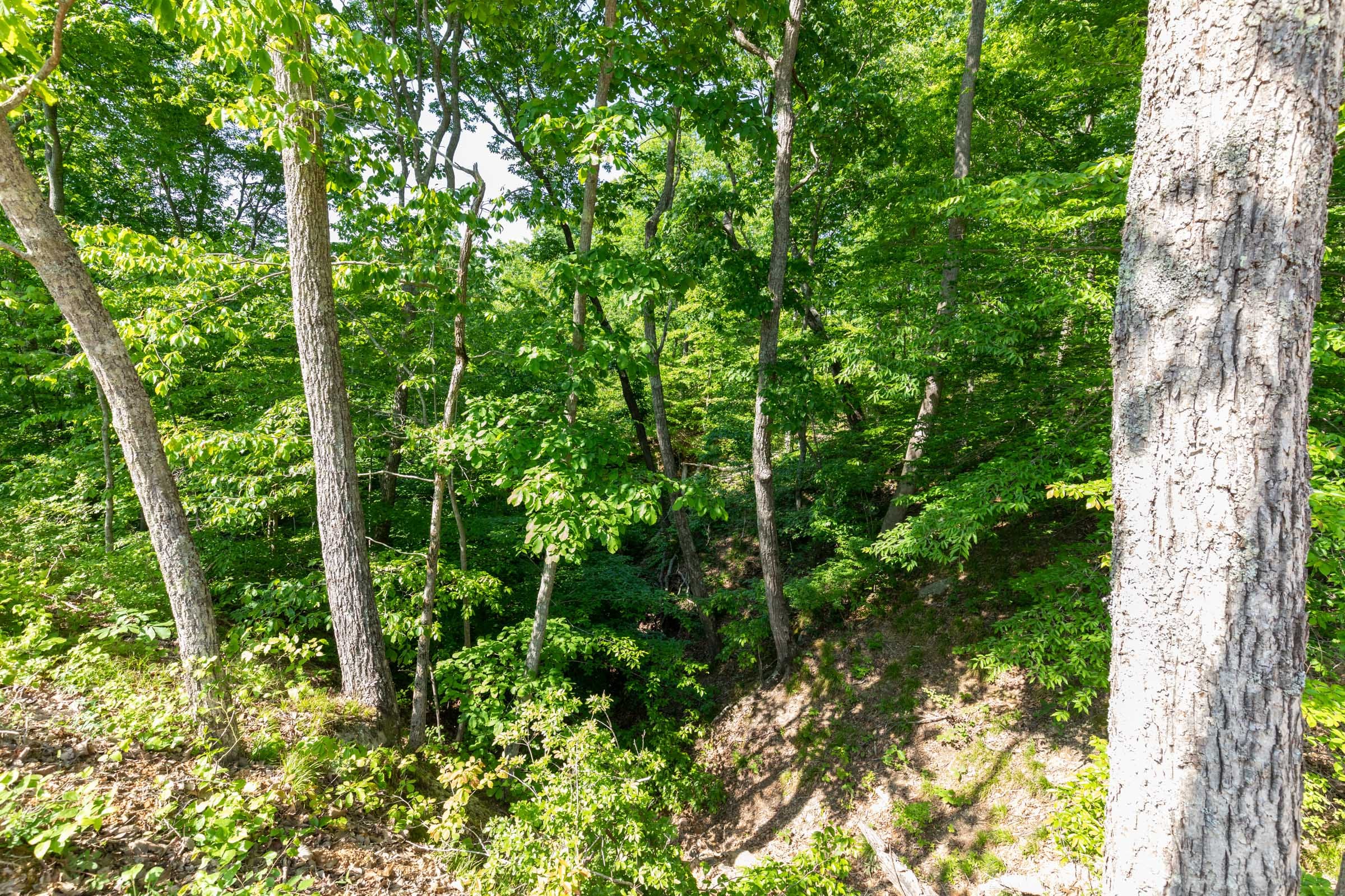 Cedar Creek Tract 65 photo 6