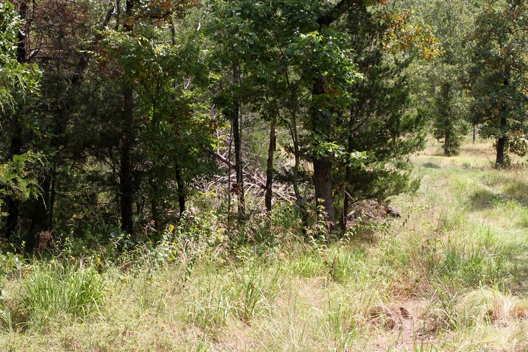 Lakeview Private Reserve Tract 3 photo 4