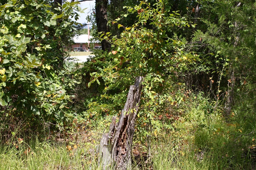 Lakeview Private Reserve Tract 3 photo 5